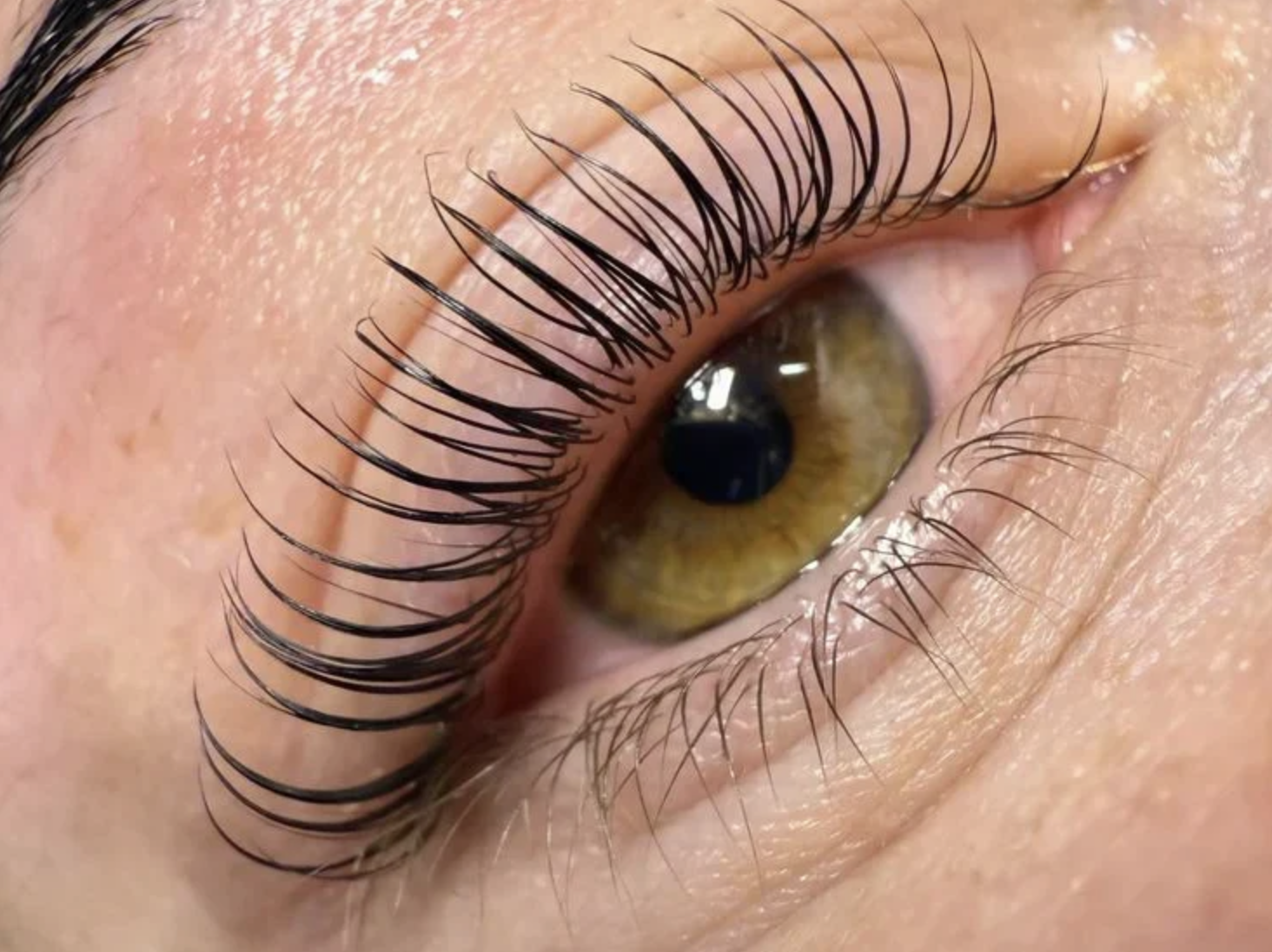 Lash lift Coréen
